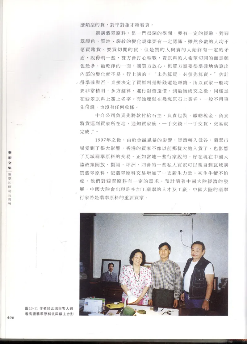 翡翠全集_X018-玉石珠宝鉴定教程最新合集_6、翡翠鉴定专题全套课程_翡翠电子书_翡翠鉴赏_11-20