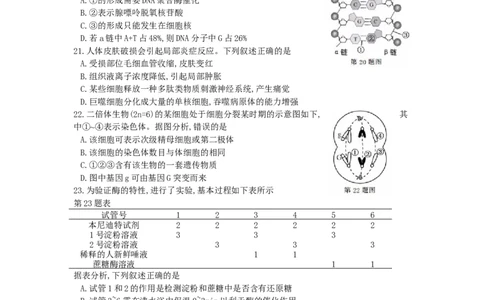 2017年高考生物试卷（浙江）11月（空白卷）_生物历年高考真题_新&middot;Word版2008-2025&middot;高考生物真题_生物（按年份分类）2008-2025_2017&middot;高考生物真题