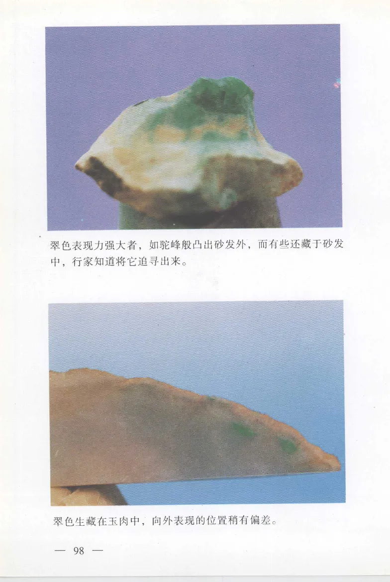 云南相玉学_X018-玉石珠宝鉴定教程最新合集_6、翡翠鉴定专题全套课程_翡翠电子书_翡翠鉴赏_01-10