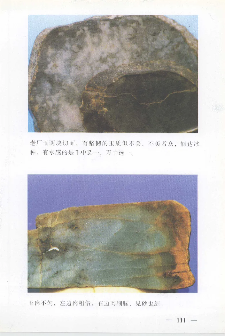 云南相玉学_X018-玉石珠宝鉴定教程最新合集_6、翡翠鉴定专题全套课程_翡翠电子书_翡翠鉴赏_01-10