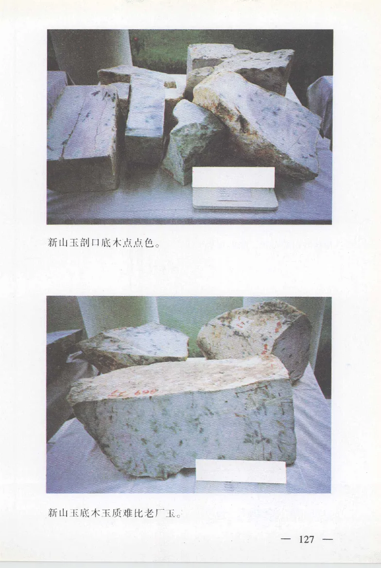 云南相玉学_X018-玉石珠宝鉴定教程最新合集_6、翡翠鉴定专题全套课程_翡翠电子书_翡翠鉴赏_01-10