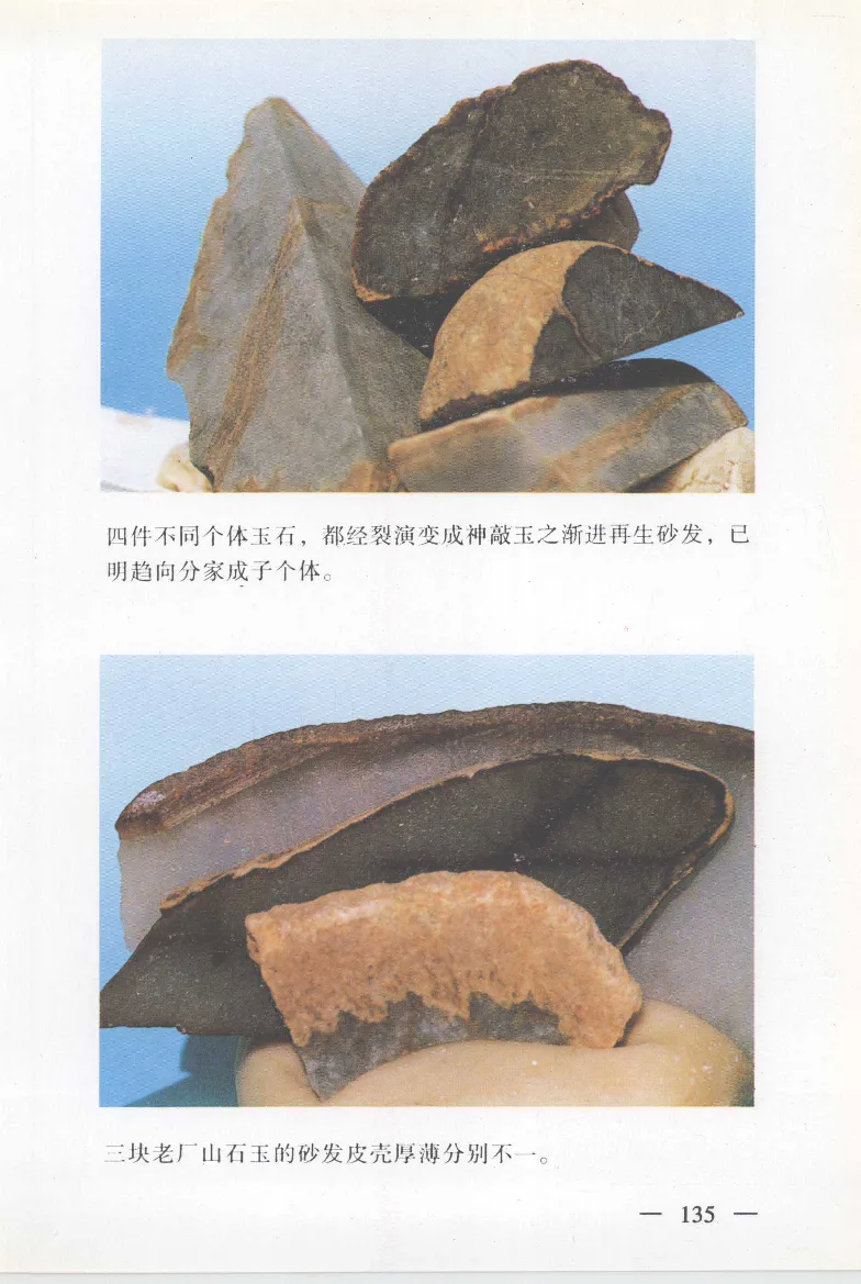 云南相玉学_X018-玉石珠宝鉴定教程最新合集_6、翡翠鉴定专题全套课程_翡翠电子书_翡翠鉴赏_01-10
