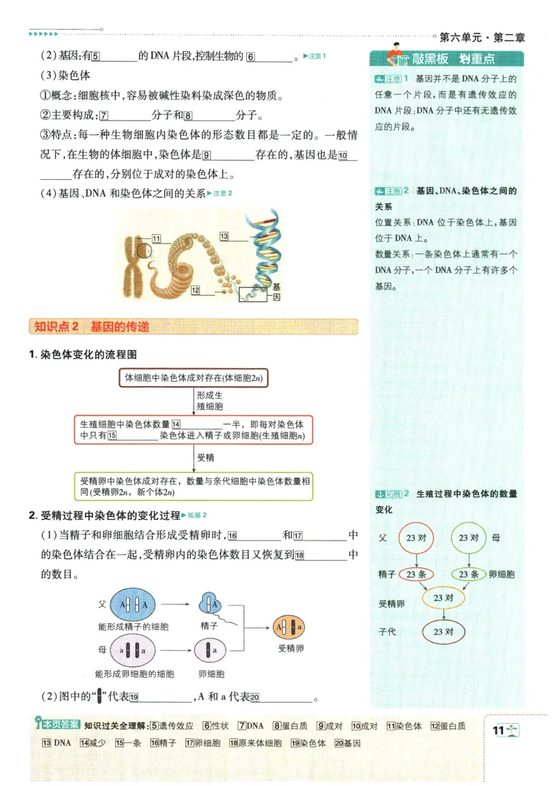 2026春《初中必刷题》生物RJ8下狂K重点_2026春《初中必刷题》生物RJ8下