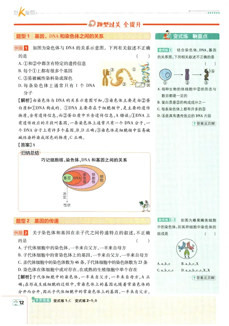 2026春《初中必刷题》生物RJ8下狂K重点_2026春《初中必刷题》生物RJ8下