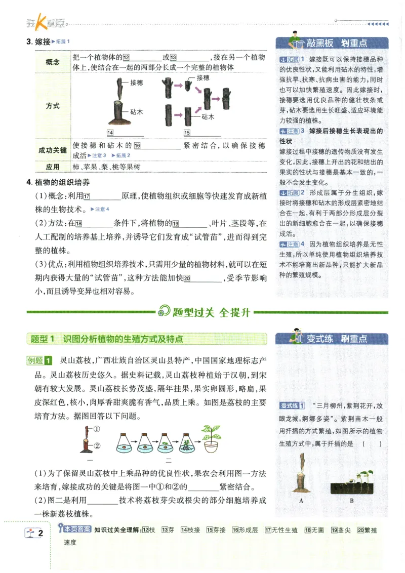 2026春《初中必刷题》生物RJ8下狂K重点_2026春《初中必刷题》生物RJ8下