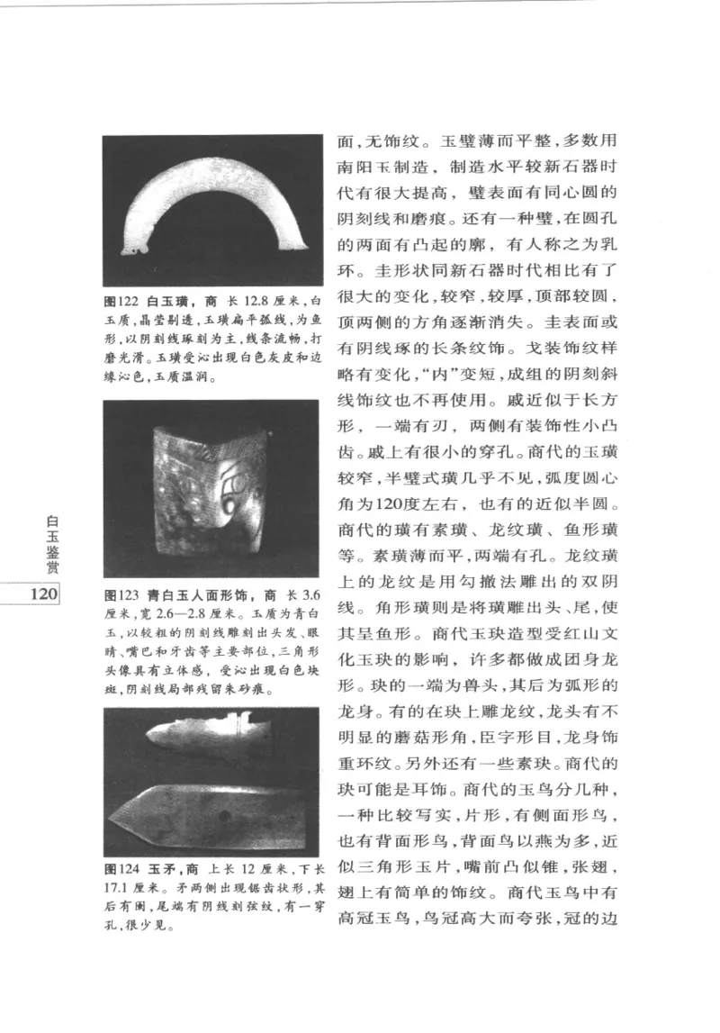 白玉鉴赏__X018-玉石珠宝鉴定教程最新合集_5、玉石鉴定专题全套课程_玉石电子书_玉石电子书