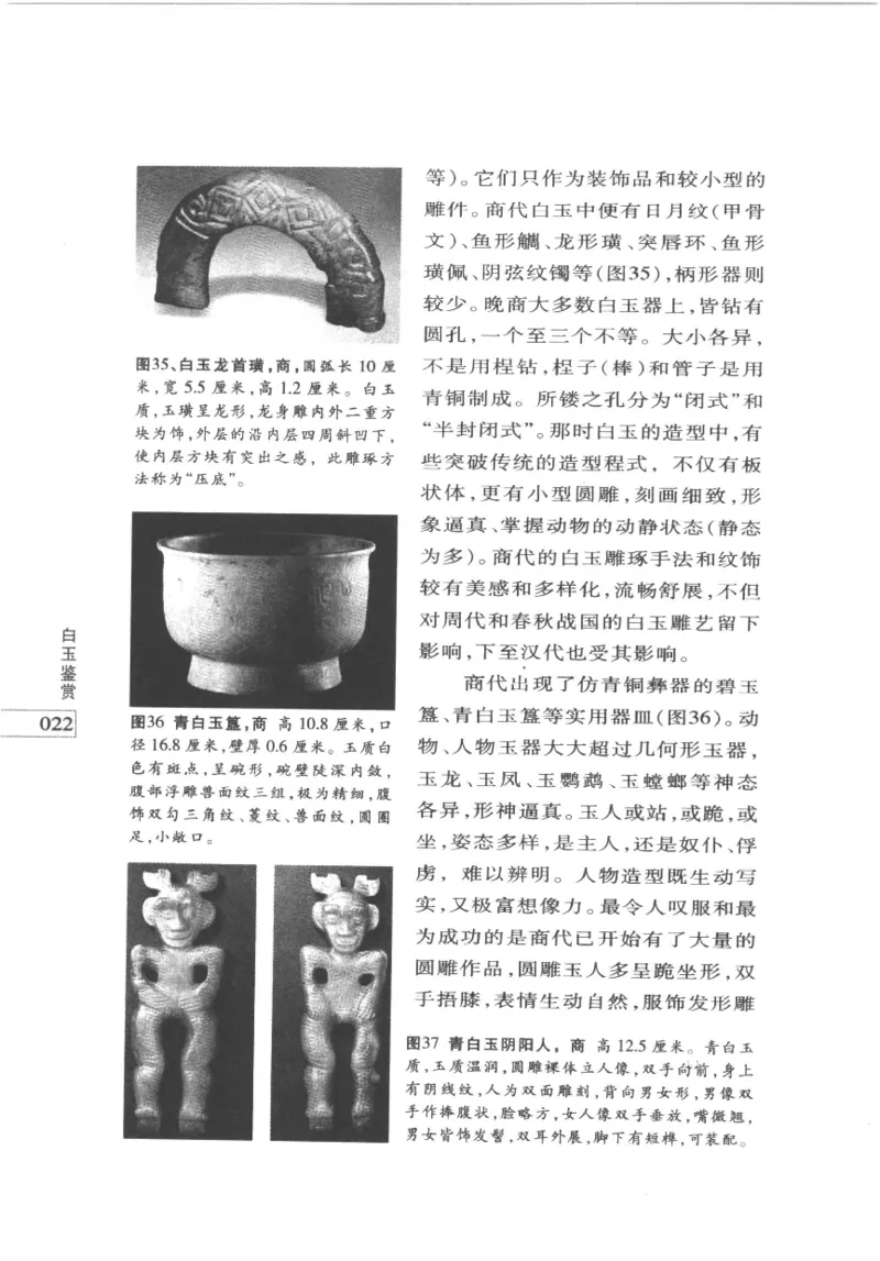 白玉鉴赏__X018-玉石珠宝鉴定教程最新合集_5、玉石鉴定专题全套课程_玉石电子书_玉石电子书