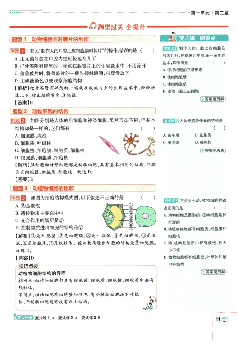 2026版《初中必刷题》生物RJ7上狂K重点_A007初中必刷合集2_A039初中必刷题合集_7上_2026版《初中必刷题》生物RJ7上