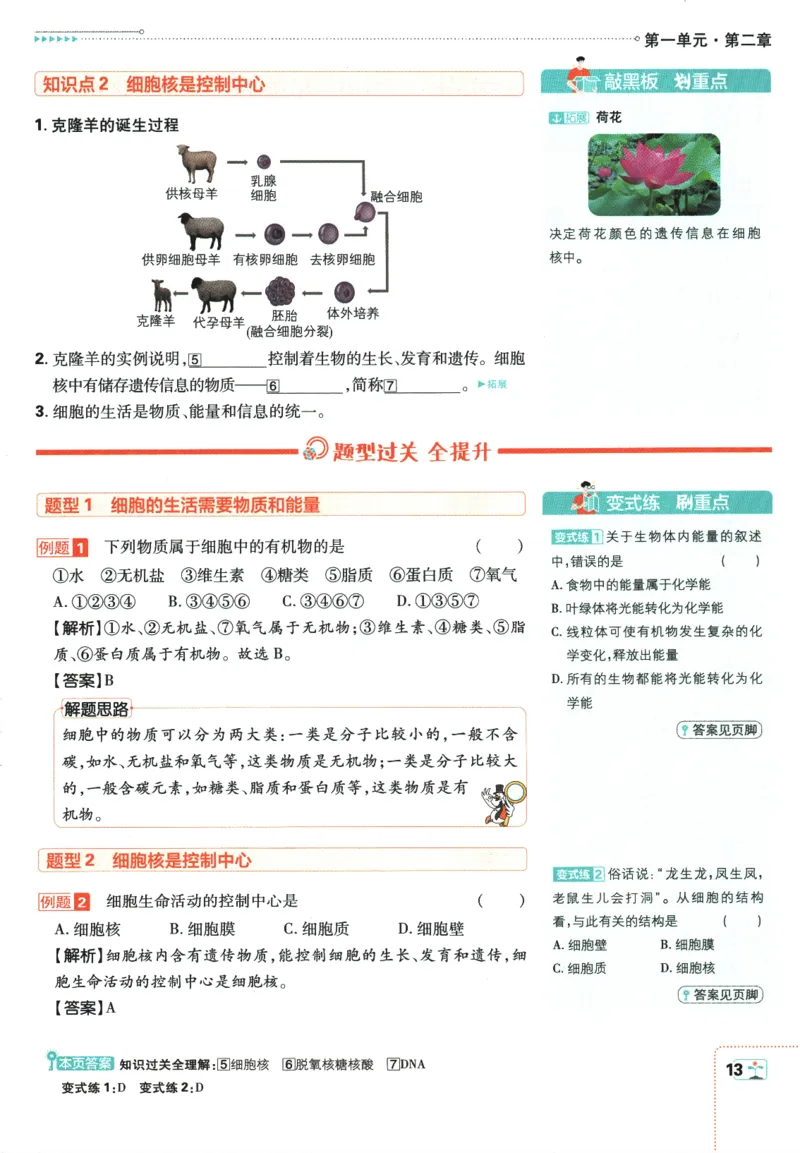2026版《初中必刷题》生物RJ7上狂K重点_A007初中必刷合集2_A039初中必刷题合集_7上_2026版《初中必刷题》生物RJ7上