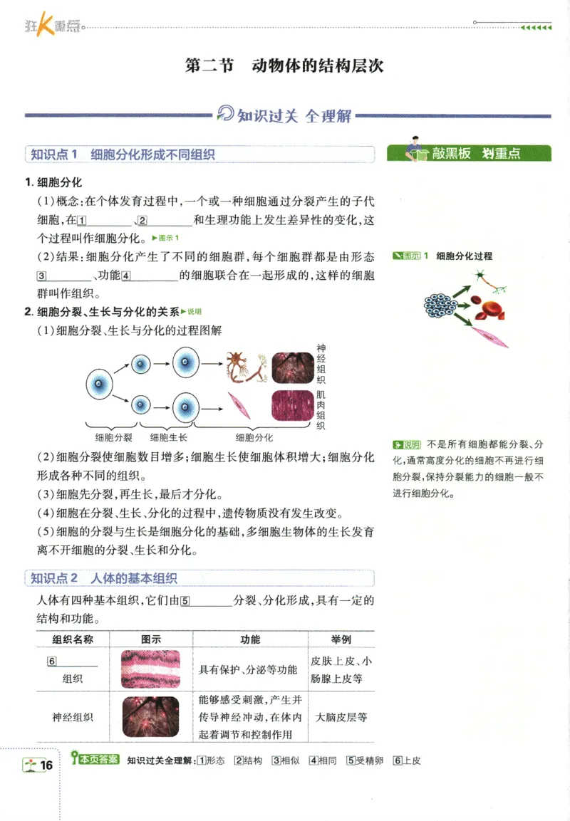 2026版《初中必刷题》生物RJ7上狂K重点_A007初中必刷合集2_A039初中必刷题合集_7上_2026版《初中必刷题》生物RJ7上