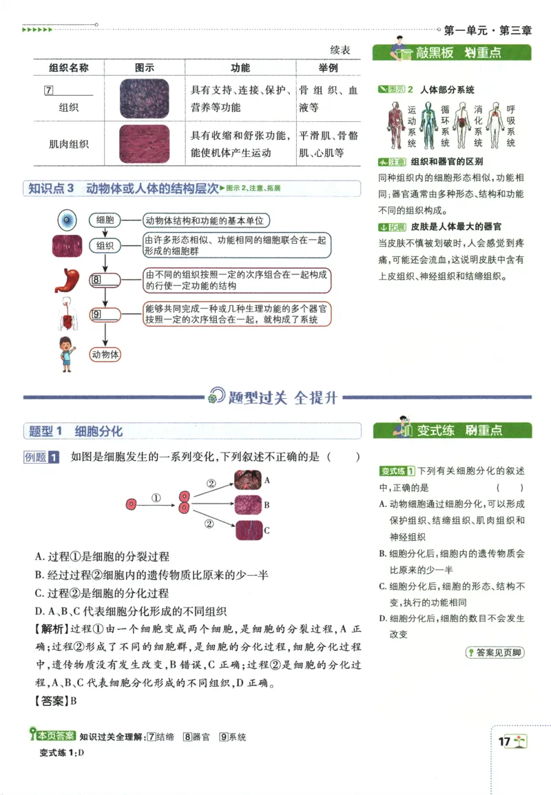 2026版《初中必刷题》生物RJ7上狂K重点_A007初中必刷合集2_A039初中必刷题合集_7上_2026版《初中必刷题》生物RJ7上