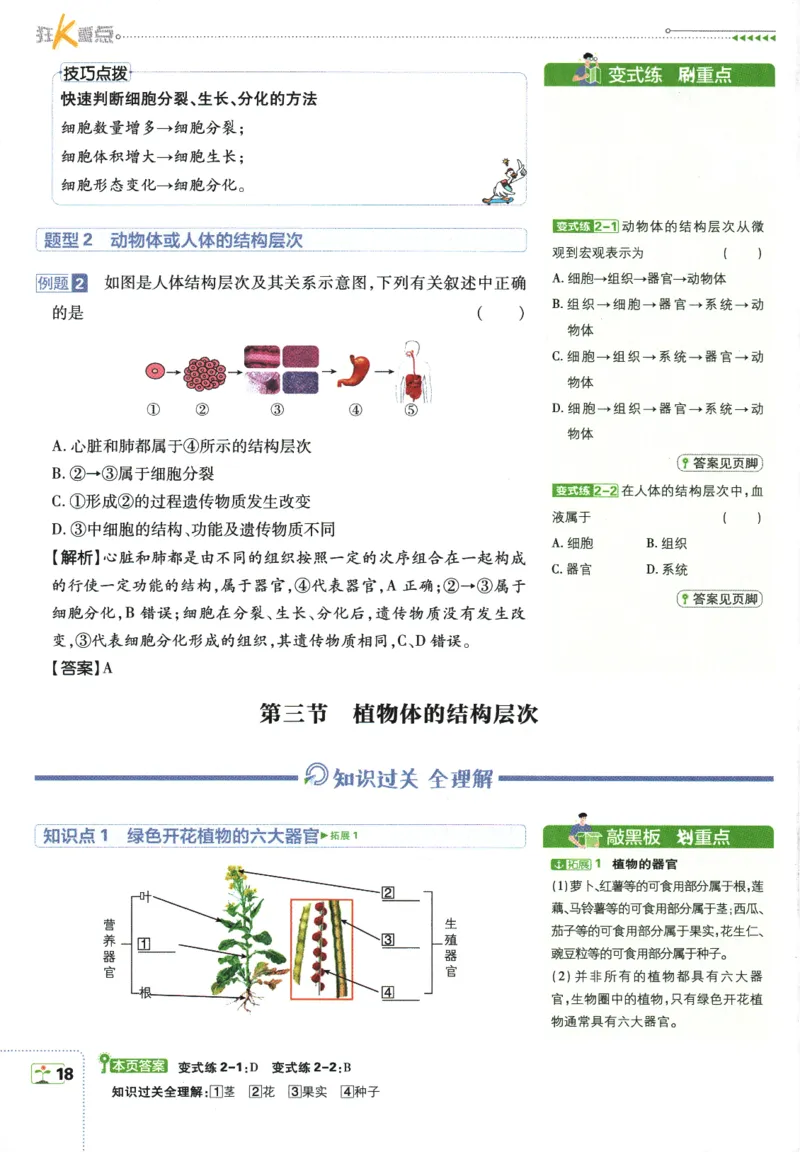 2026版《初中必刷题》生物RJ7上狂K重点_A007初中必刷合集2_A039初中必刷题合集_7上_2026版《初中必刷题》生物RJ7上