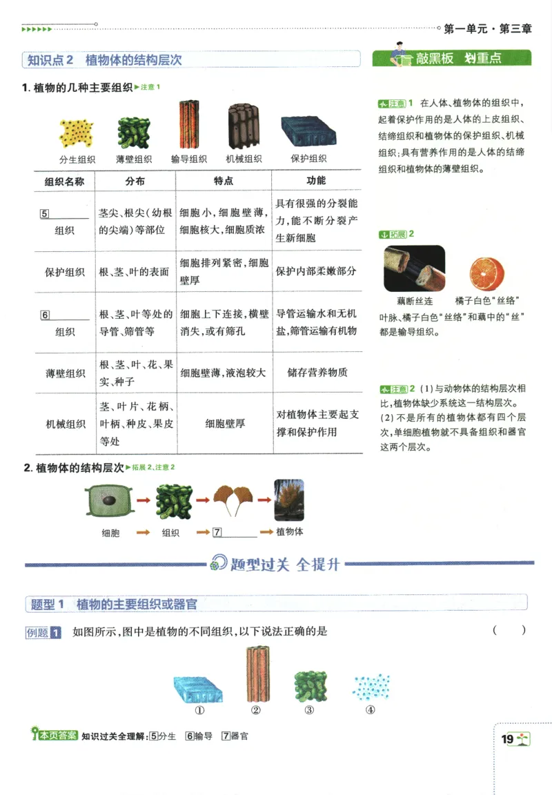 2026版《初中必刷题》生物RJ7上狂K重点_A007初中必刷合集2_A039初中必刷题合集_7上_2026版《初中必刷题》生物RJ7上