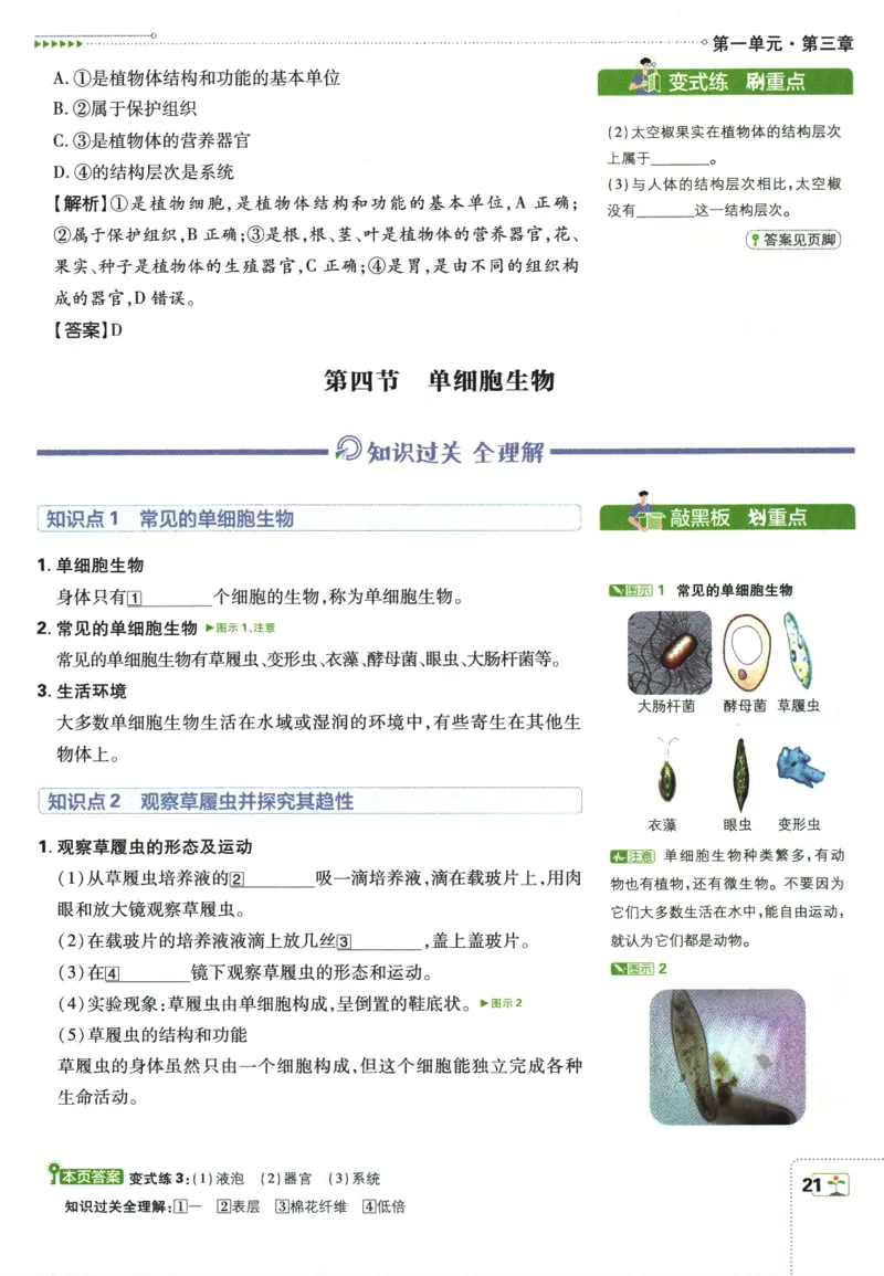 2026版《初中必刷题》生物RJ7上狂K重点_A007初中必刷合集2_A039初中必刷题合集_7上_2026版《初中必刷题》生物RJ7上