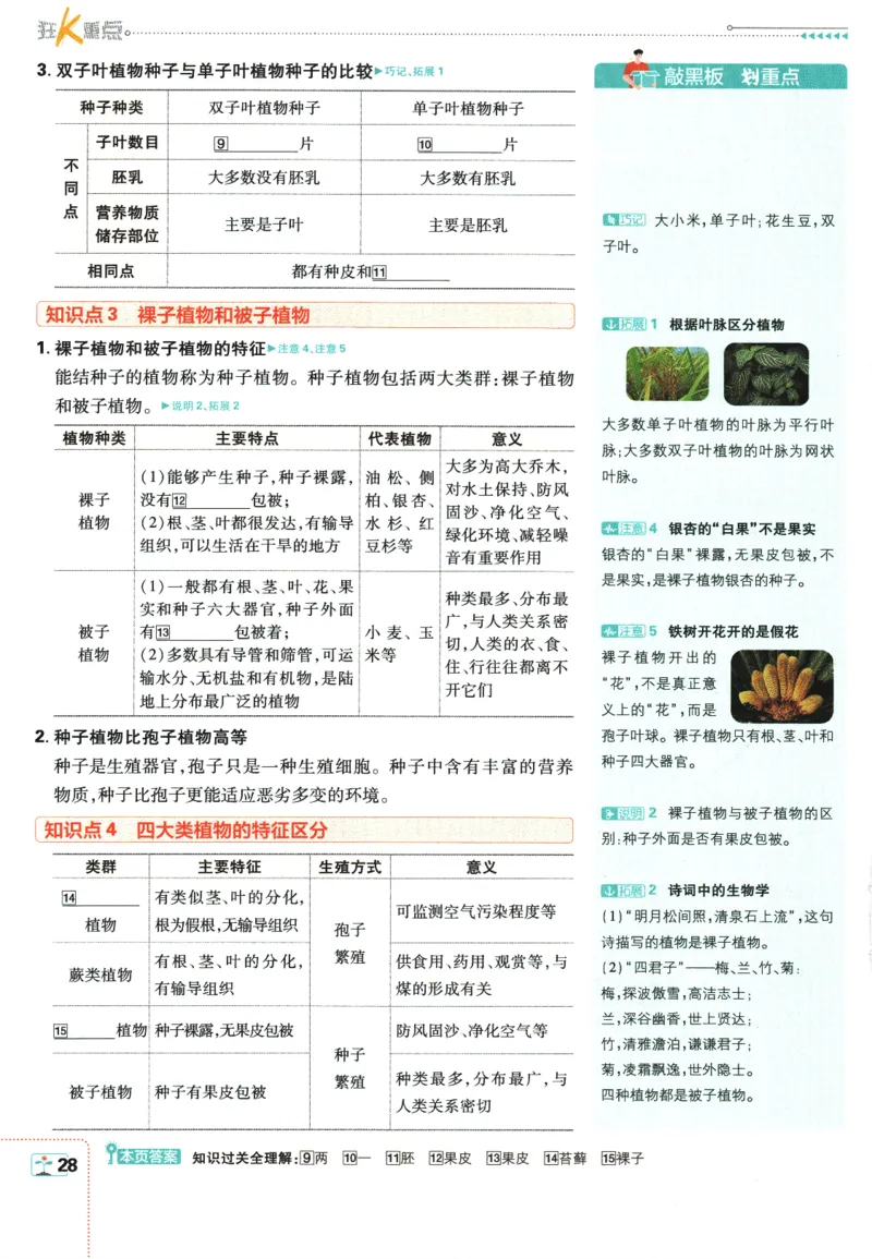 2026版《初中必刷题》生物RJ7上狂K重点_A007初中必刷合集2_A039初中必刷题合集_7上_2026版《初中必刷题》生物RJ7上