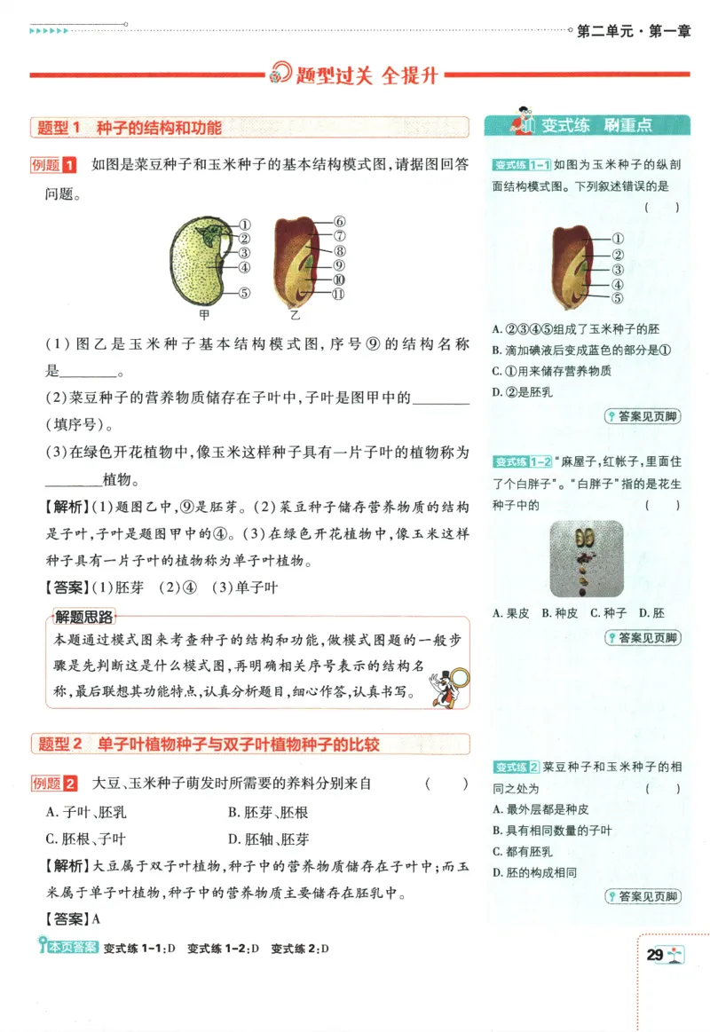 2026版《初中必刷题》生物RJ7上狂K重点_A007初中必刷合集2_A039初中必刷题合集_7上_2026版《初中必刷题》生物RJ7上