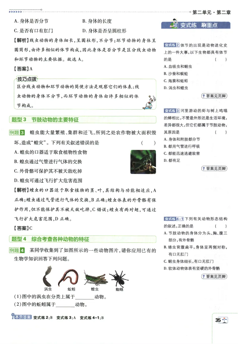 2026版《初中必刷题》生物RJ7上狂K重点_A007初中必刷合集2_A039初中必刷题合集_7上_2026版《初中必刷题》生物RJ7上