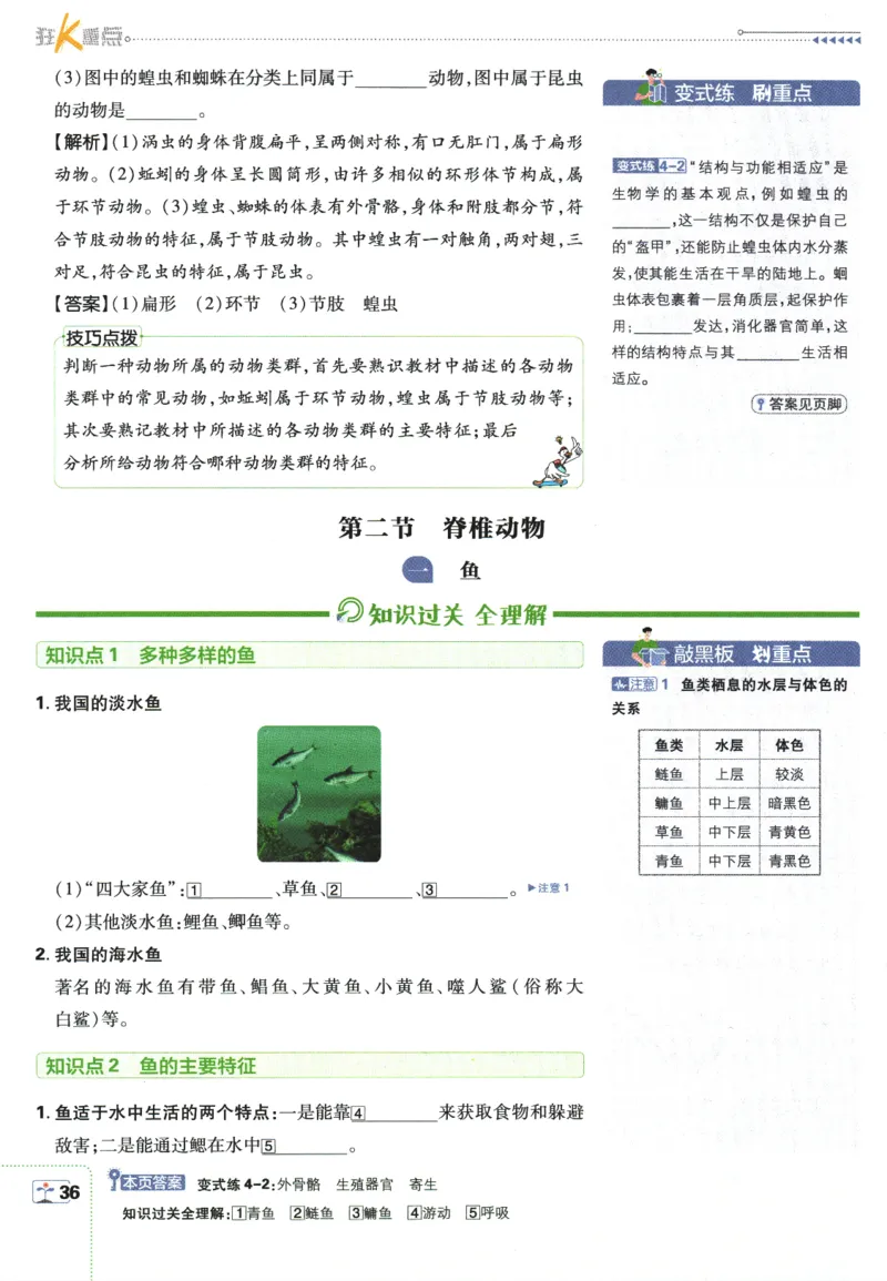 2026版《初中必刷题》生物RJ7上狂K重点_A007初中必刷合集2_A039初中必刷题合集_7上_2026版《初中必刷题》生物RJ7上