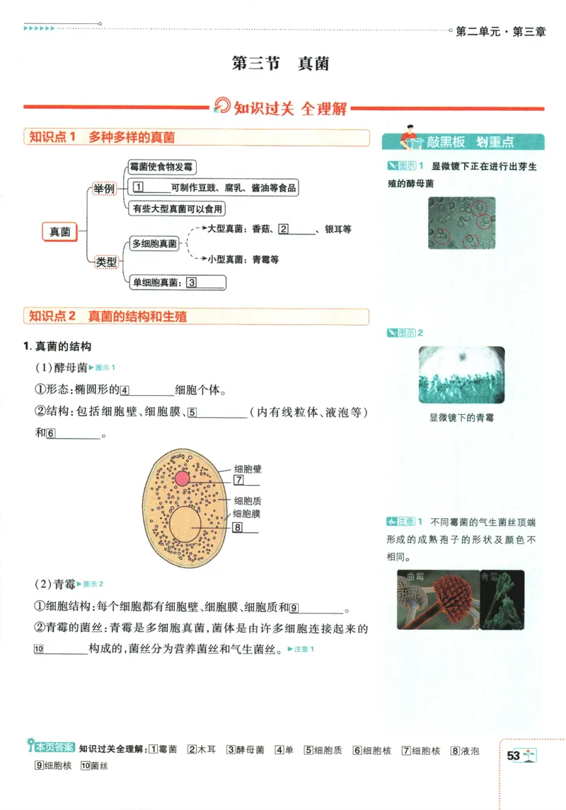 2026版《初中必刷题》生物RJ7上狂K重点_A007初中必刷合集2_A039初中必刷题合集_7上_2026版《初中必刷题》生物RJ7上