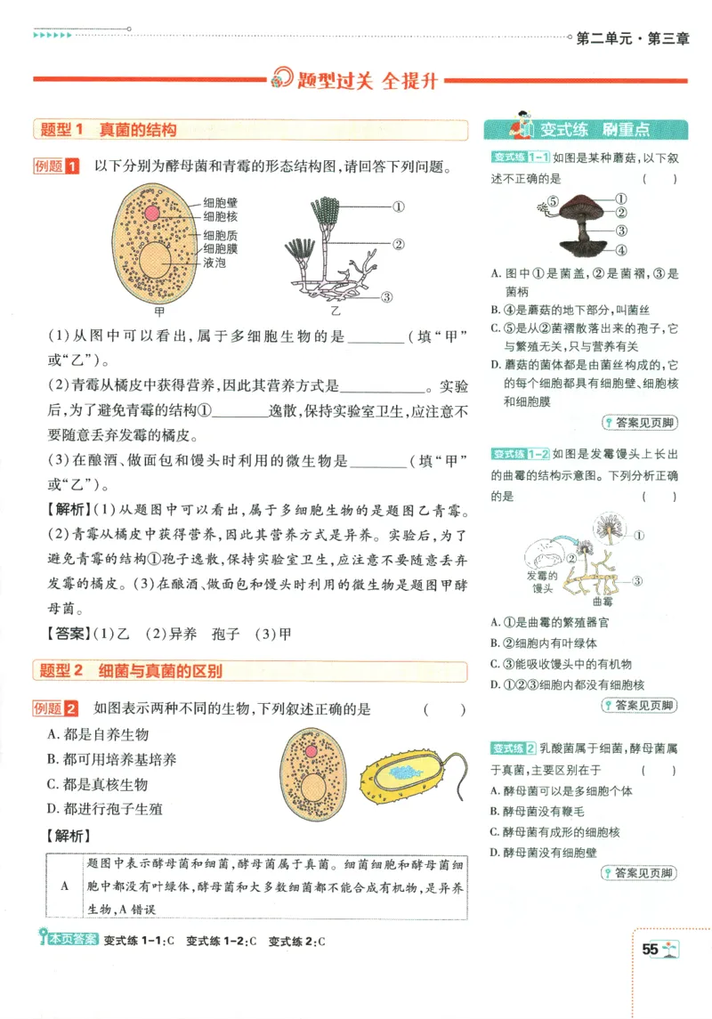 2026版《初中必刷题》生物RJ7上狂K重点_A007初中必刷合集2_A039初中必刷题合集_7上_2026版《初中必刷题》生物RJ7上