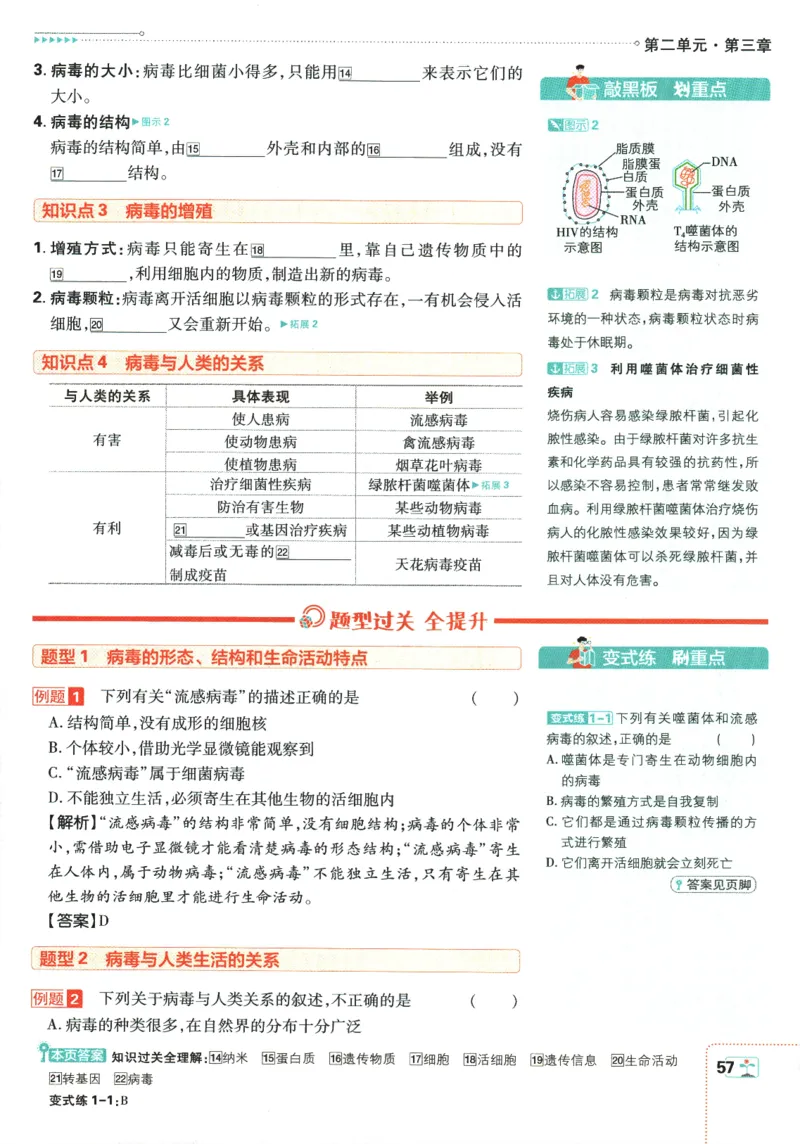 2026版《初中必刷题》生物RJ7上狂K重点_A007初中必刷合集2_A039初中必刷题合集_7上_2026版《初中必刷题》生物RJ7上