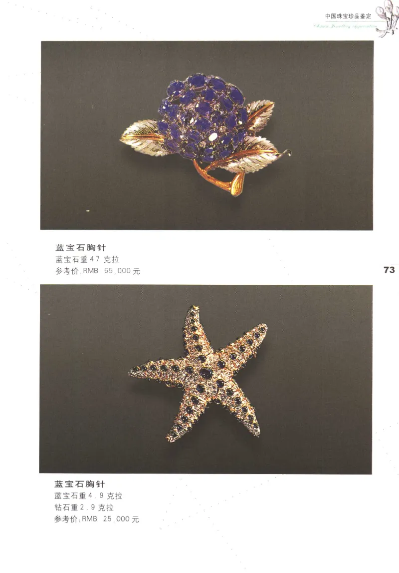 中国珠宝珍品鉴定（上册）_11373327_X018-玉石珠宝鉴定教程最新合集_4、珠宝玉石鉴定投资手册合集