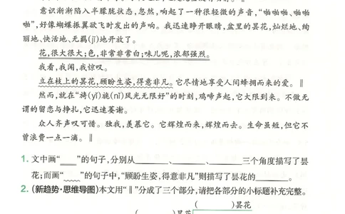 25秋《学霸冲A卷》5年级上册语文同步阅读_25秋《小学学霸冲A卷》语文1-6_25秋《小学学霸冲A卷》语文5上