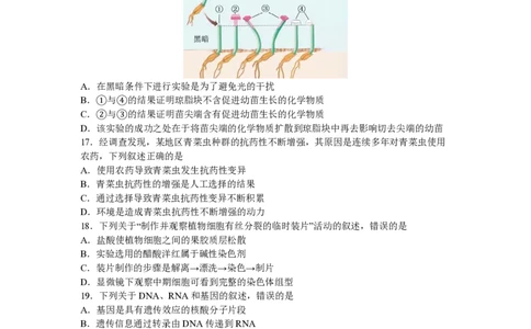 2017年高考生物试卷（浙江）4月（空白卷）_生物历年高考真题_新&middot;PDF版2008-2025&middot;高考生物真题_生物（按年份分类）2008-2025_2017&middot;高考生物真题