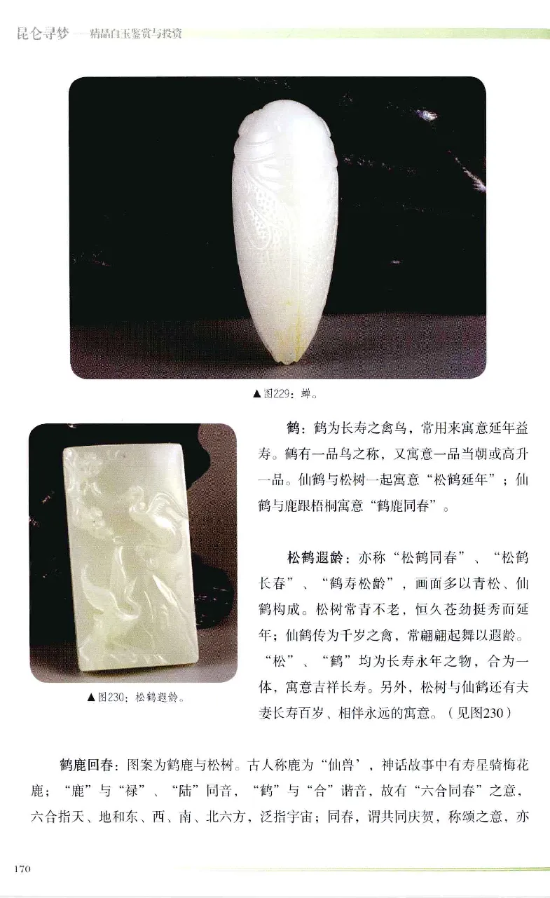 昆仑寻梦精品白玉鉴赏与投资__X018-玉石珠宝鉴定教程最新合集_5、玉石鉴定专题全套课程_玉石电子书_玉石电子书