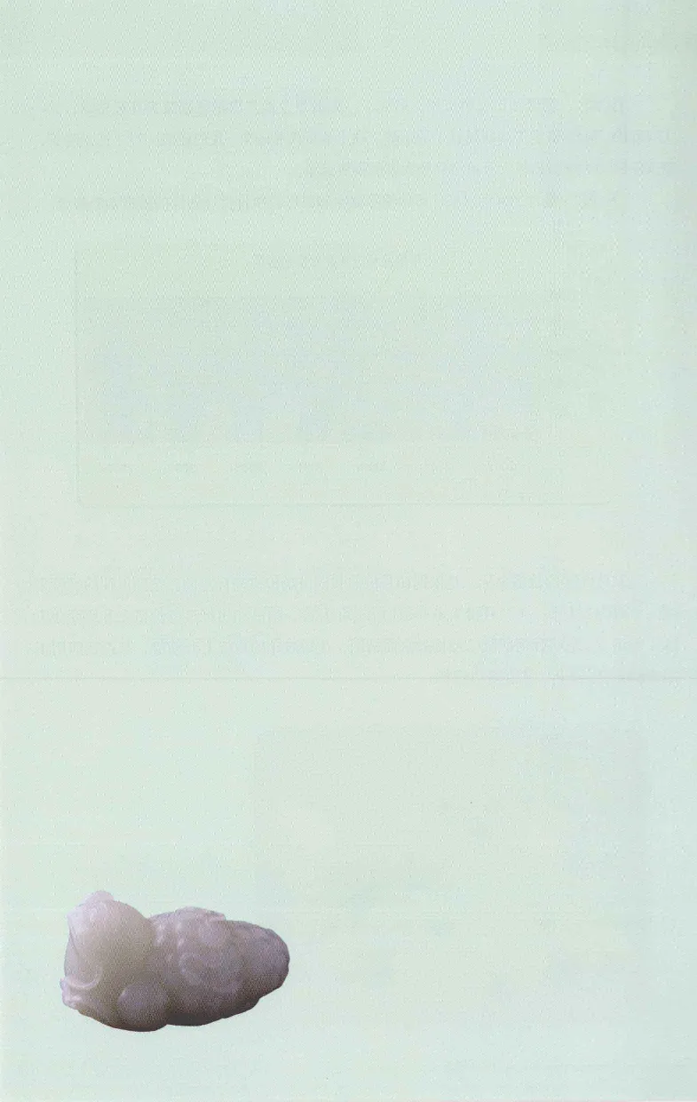 昆仑寻梦精品白玉鉴赏与投资__X018-玉石珠宝鉴定教程最新合集_5、玉石鉴定专题全套课程_玉石电子书_玉石电子书