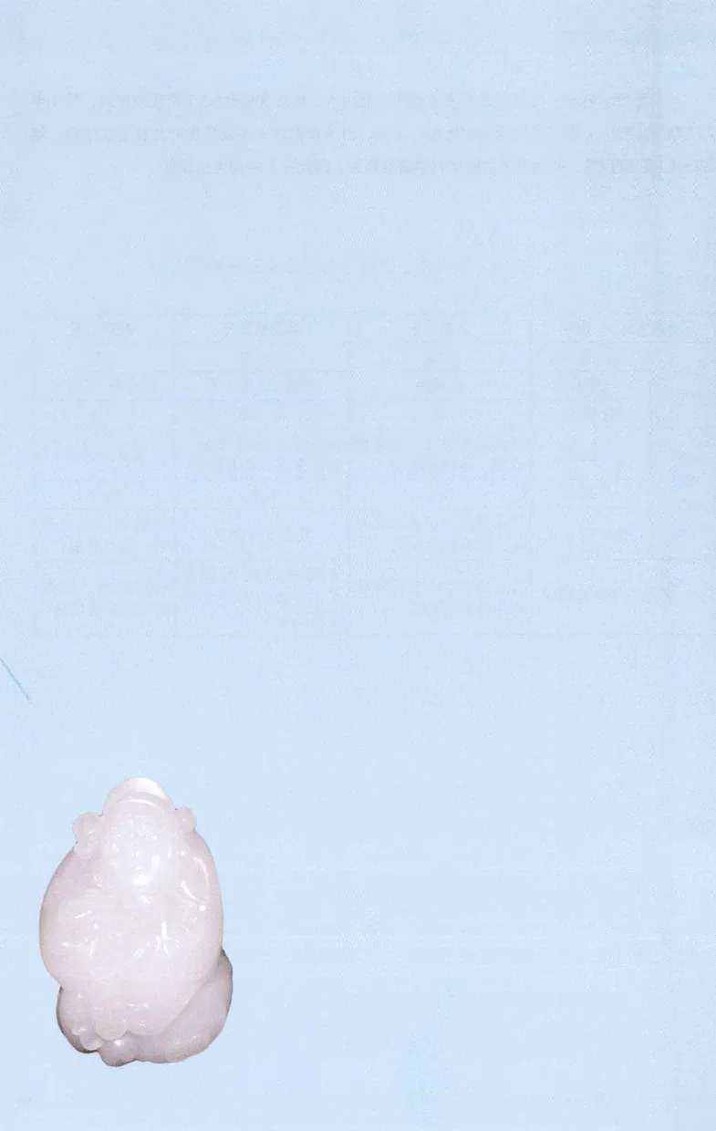 昆仑寻梦精品白玉鉴赏与投资__X018-玉石珠宝鉴定教程最新合集_5、玉石鉴定专题全套课程_玉石电子书_玉石电子书