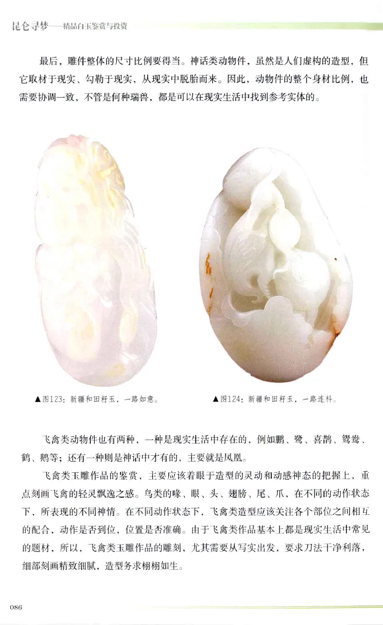 昆仑寻梦精品白玉鉴赏与投资__X018-玉石珠宝鉴定教程最新合集_5、玉石鉴定专题全套课程_玉石电子书_玉石电子书