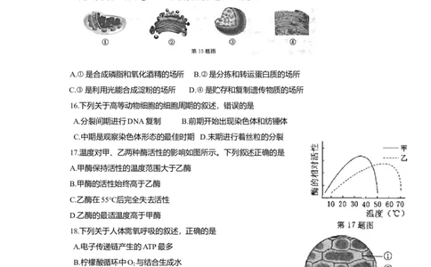 2015年高考生物试卷（浙江）10月（空白卷）_生物历年高考真题_新&middot;Word版2008-2025&middot;高考生物真题_生物（按年份分类）2008-2025_2015&middot;高考生物真题