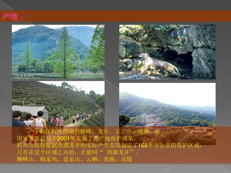 奢侈品培训-合订本(上)_X017-奢侈品鉴定教程最新合集_赠品3奢侈品培训电子书