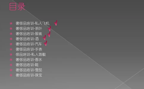 奢侈品培训-合订本(上)_X017-奢侈品鉴定教程最新合集_赠品3奢侈品培训电子书