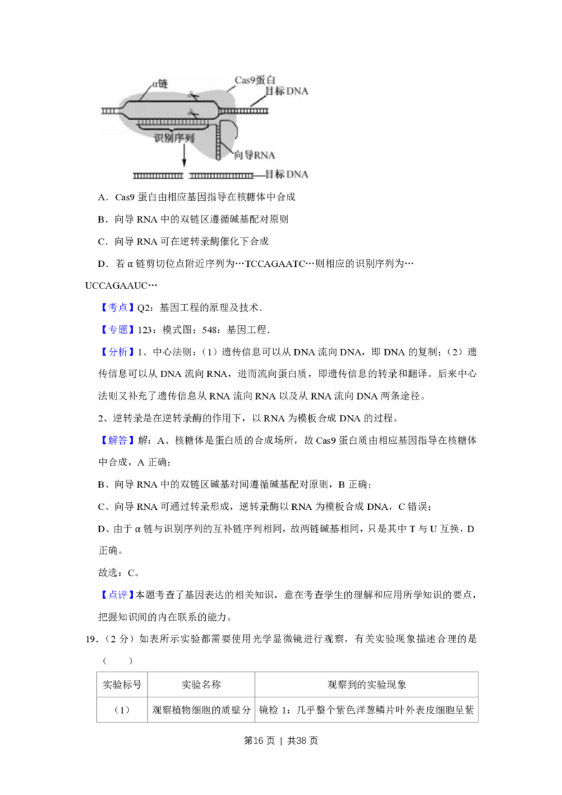 2016年高考生物试卷（江苏）（解析卷）_生物历年高考真题_新&middot;PDF版2008-2025&middot;高考生物真题_生物（按省份分类）2008-2025_2008-2025&middot;（江苏）生物高考真题