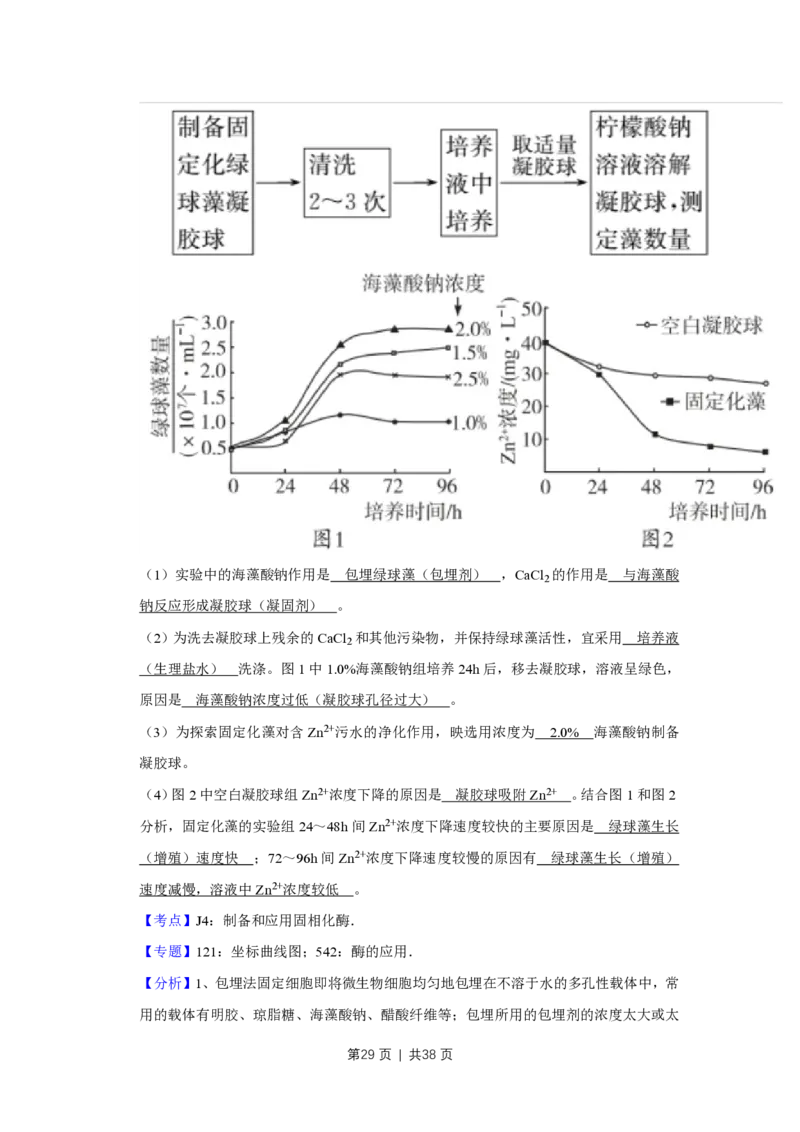 2016年高考生物试卷（江苏）（解析卷）_生物历年高考真题_新&middot;PDF版2008-2025&middot;高考生物真题_生物（按省份分类）2008-2025_2008-2025&middot;（江苏）生物高考真题