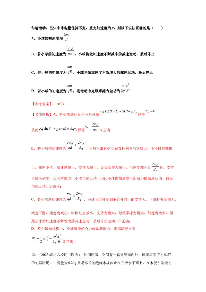 模型56复合场模型（解析版）_2025高中物理模型方法技巧高三复习专题练习讲义_高考物理模型最新模拟题专项训练