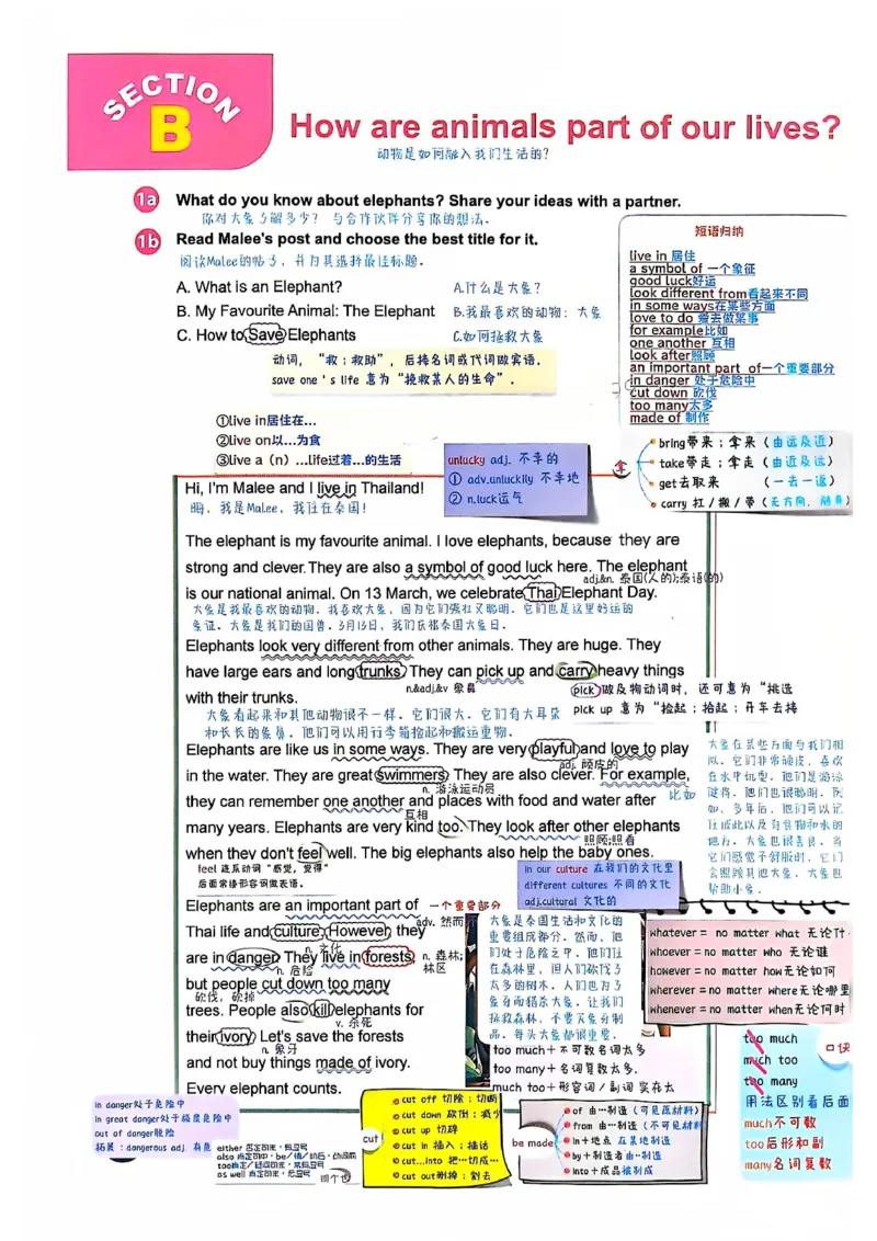 2025春七下人教英语新教材课文笔记+单词笔记_初中英语新版_最新人教版英语七年级下册_七下英语2025版_04.2025春英语人教7下课本笔记+单词笔记（4套）