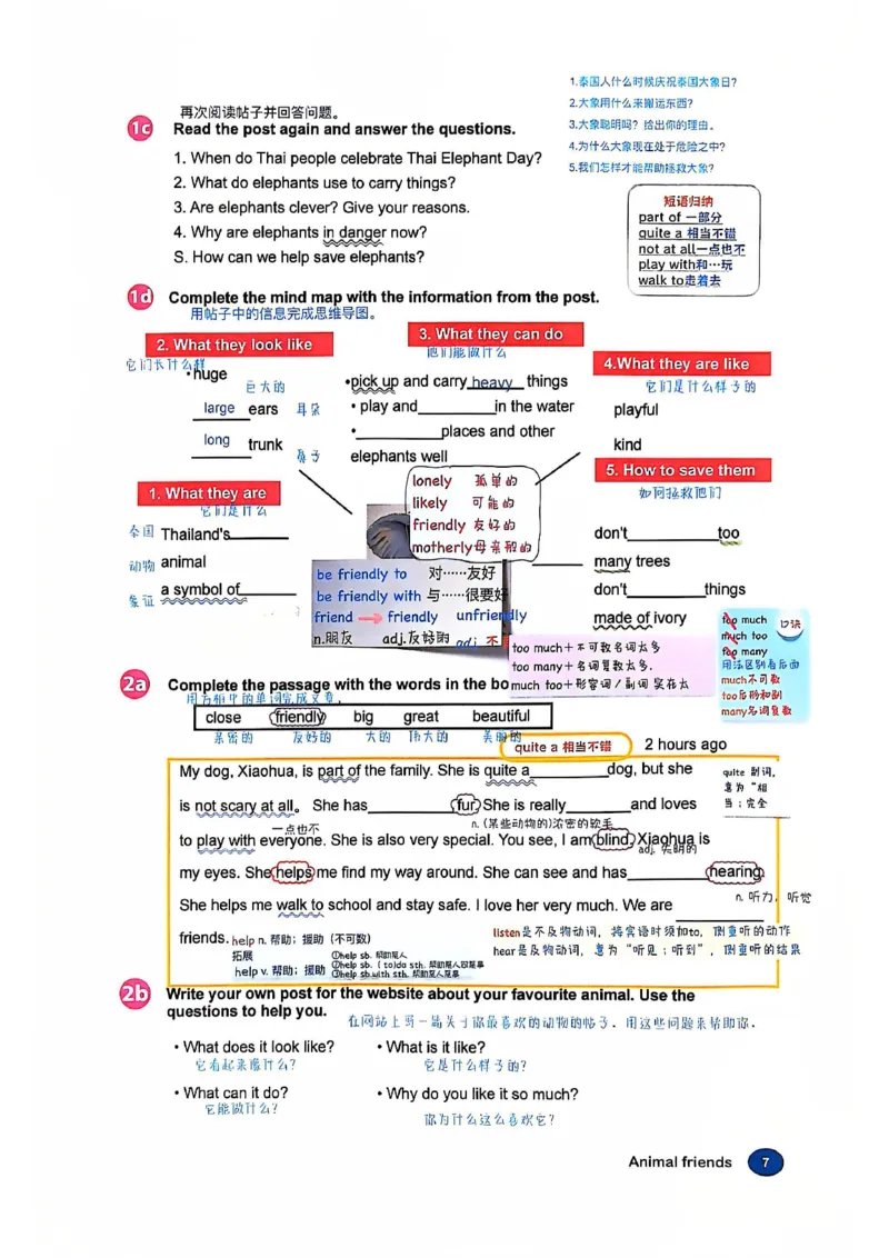 2025春七下人教英语新教材课文笔记+单词笔记_初中英语新版_最新人教版英语七年级下册_七下英语2025版_04.2025春英语人教7下课本笔记+单词笔记（4套）