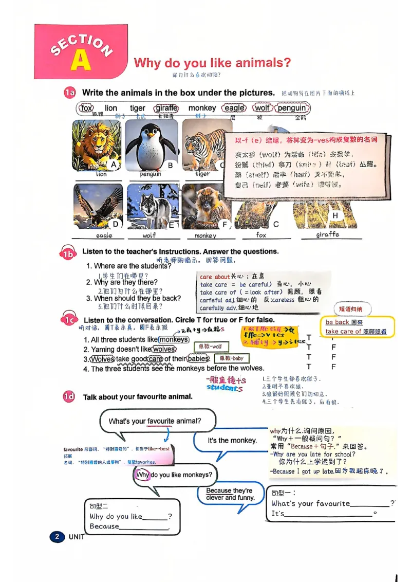 2025春七下人教英语新教材课文笔记+单词笔记_初中英语新版_最新人教版英语七年级下册_七下英语2025版_04.2025春英语人教7下课本笔记+单词笔记（4套）