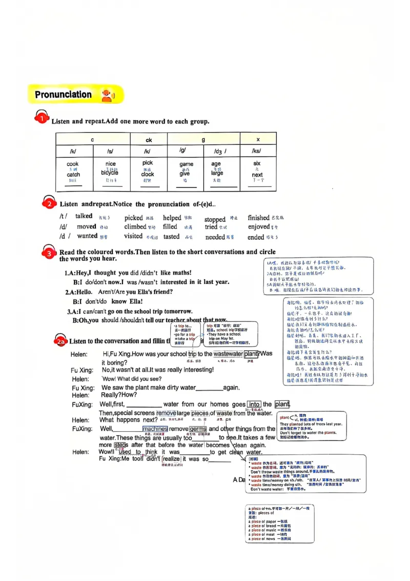 2025春七下人教英语新教材课文笔记+单词笔记_初中英语新版_最新人教版英语七年级下册_七下英语2025版_04.2025春英语人教7下课本笔记+单词笔记（4套）