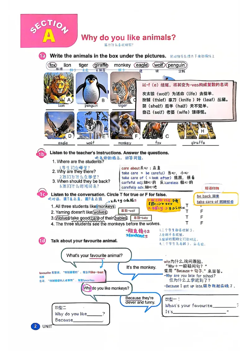 2025春七下人教英语新教材课文笔记+单词笔记_初中英语新版_最新人教版英语七年级下册_七下英语2025版_04.2025春英语人教7下课本笔记+单词笔记（4套）