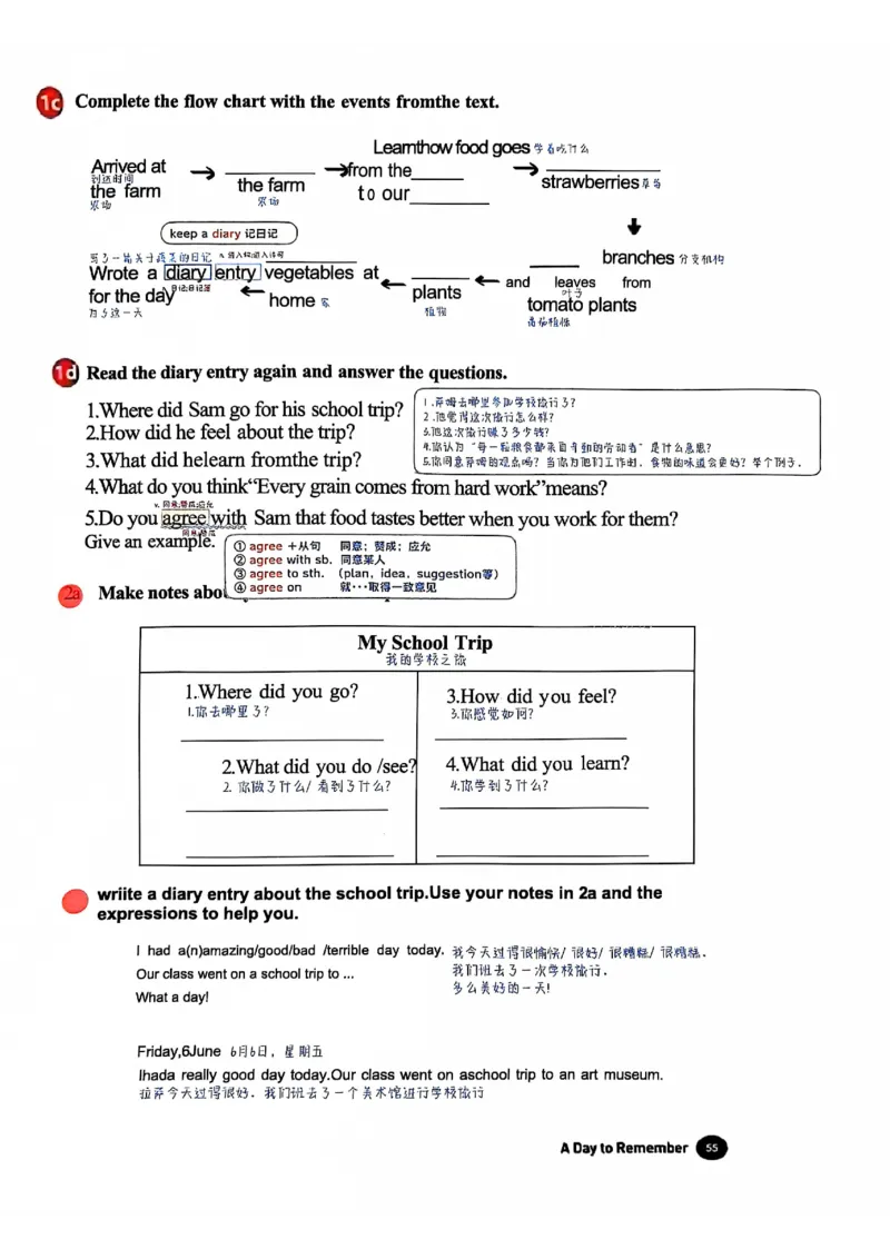 2025春七下人教英语新教材课文笔记+单词笔记_初中英语新版_最新人教版英语七年级下册_七下英语2025版_04.2025春英语人教7下课本笔记+单词笔记（4套）