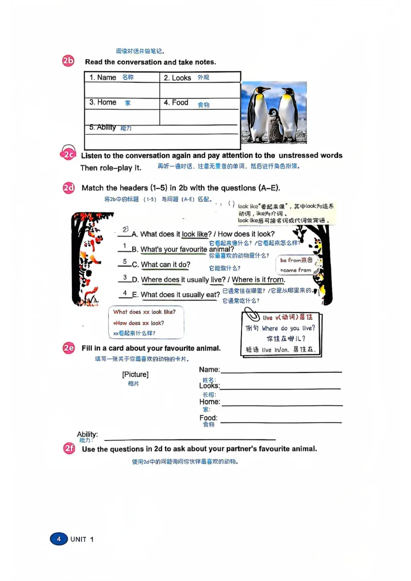2025春七下人教英语新教材课文笔记+单词笔记_初中英语新版_最新人教版英语七年级下册_七下英语2025版_04.2025春英语人教7下课本笔记+单词笔记（4套）