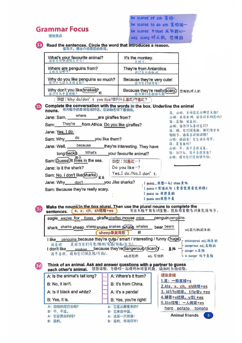 2025春七下人教英语新教材课文笔记+单词笔记_初中英语新版_最新人教版英语七年级下册_七下英语2025版_04.2025春英语人教7下课本笔记+单词笔记（4套）