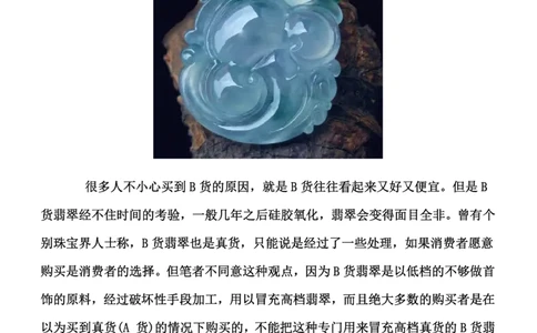 行家教你如何辨别翡翠的真假_X018-玉石珠宝鉴定教程最新合集_8、玉石翡翠鉴定与投资电子资料