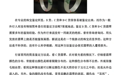 行家教你如何辨别翡翠的真假_X018-玉石珠宝鉴定教程最新合集_8、玉石翡翠鉴定与投资电子资料