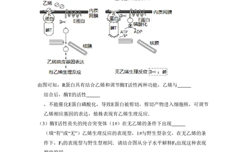2016年高考生物试卷（北京）（空白卷）_生物历年高考真题_新&middot;PDF版2008-2025&middot;高考生物真题_生物（按年份分类）2008-2025_2016&middot;高考生物真题