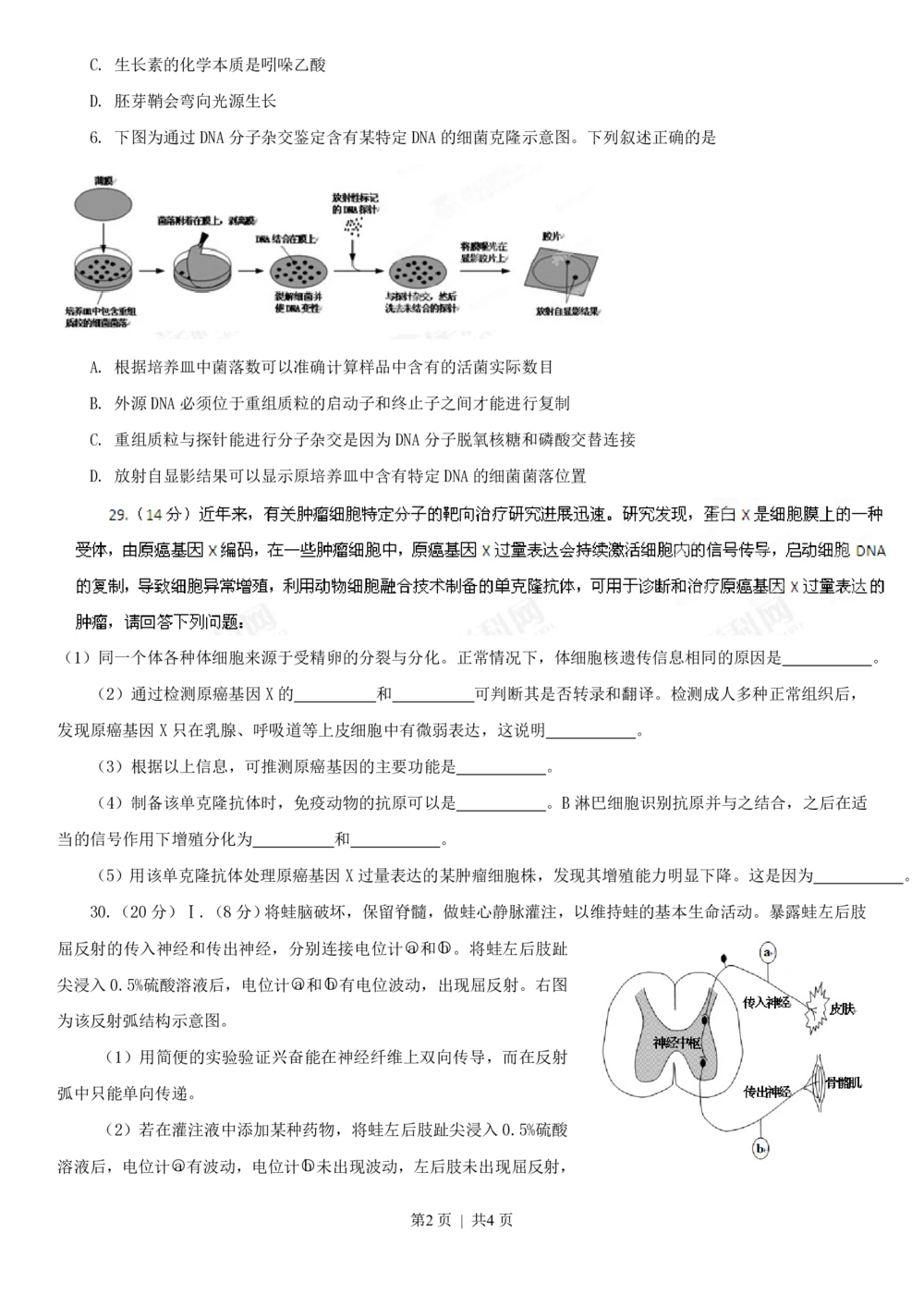 2013年高考生物试卷（安徽）（空白卷）_生物历年高考真题_新&middot;PDF版2008-2025&middot;高考生物真题_生物（按年份分类）2008-2025_2013&middot;高考生物真题